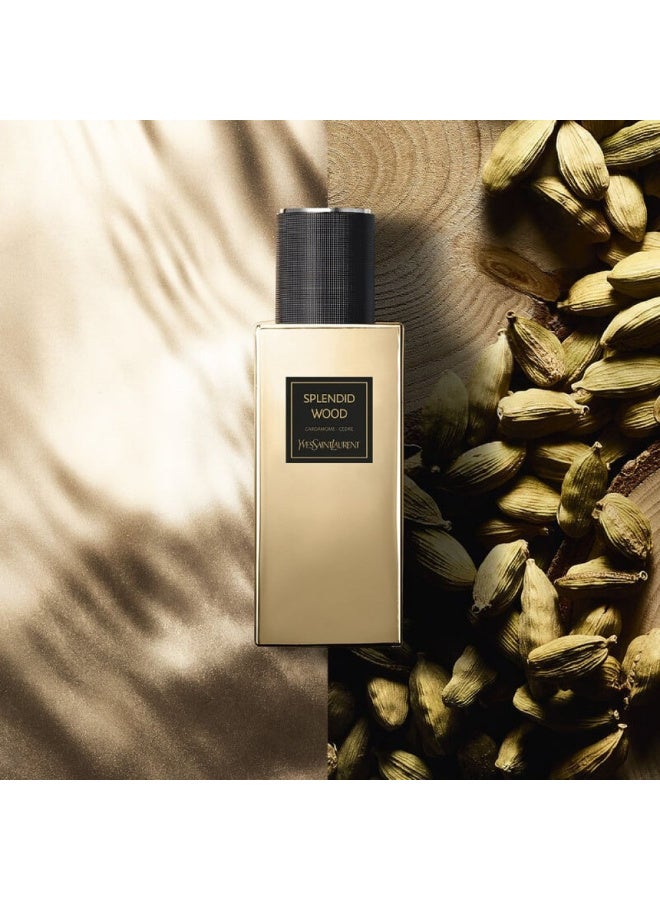 wood Yves Saint Laurent Splendid Wood Eau de Parfum Unisex 125ml - Image 2